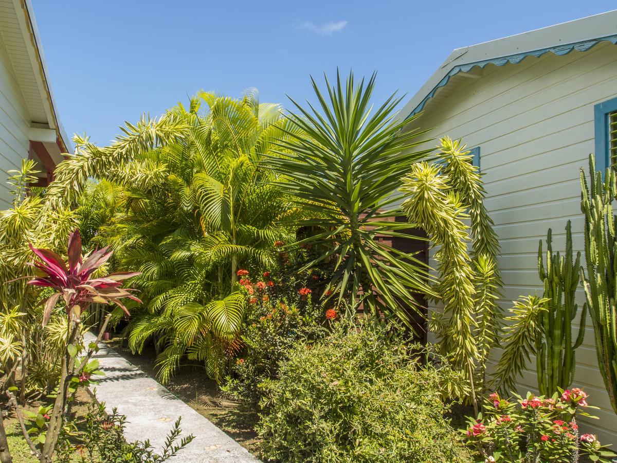 Coco Bungalows Sainte-Rose Exterior photo