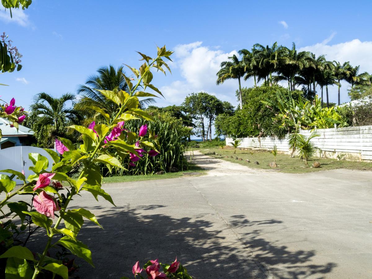 Coco Bungalows Sainte-Rose Exterior photo