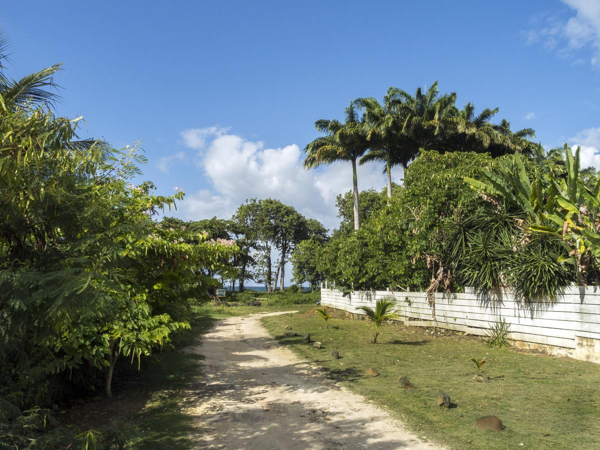 Coco Bungalows Sainte-Rose Exterior photo