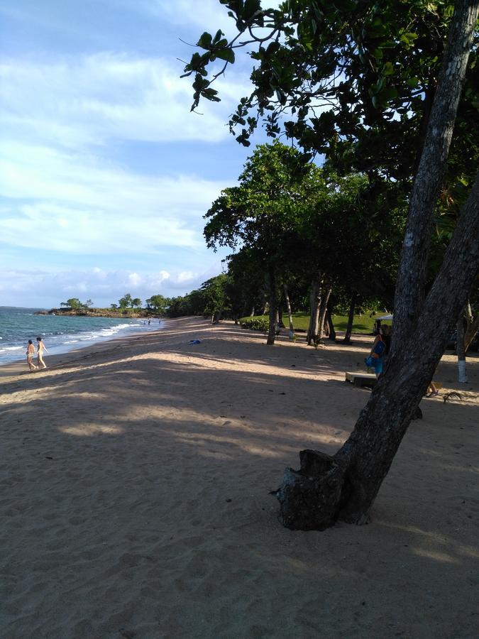 Coco Bungalows Sainte-Rose Exterior photo