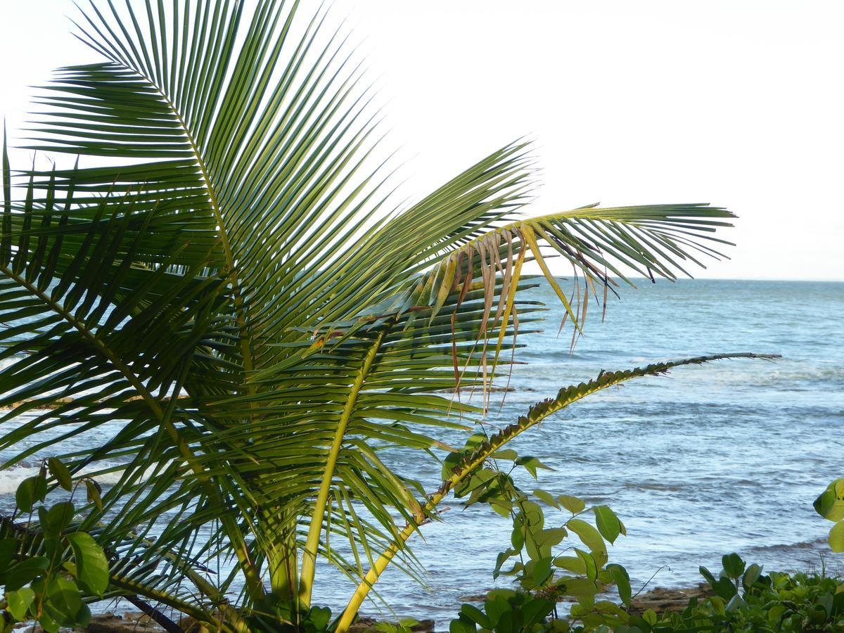 Coco Bungalows Sainte-Rose Exterior photo