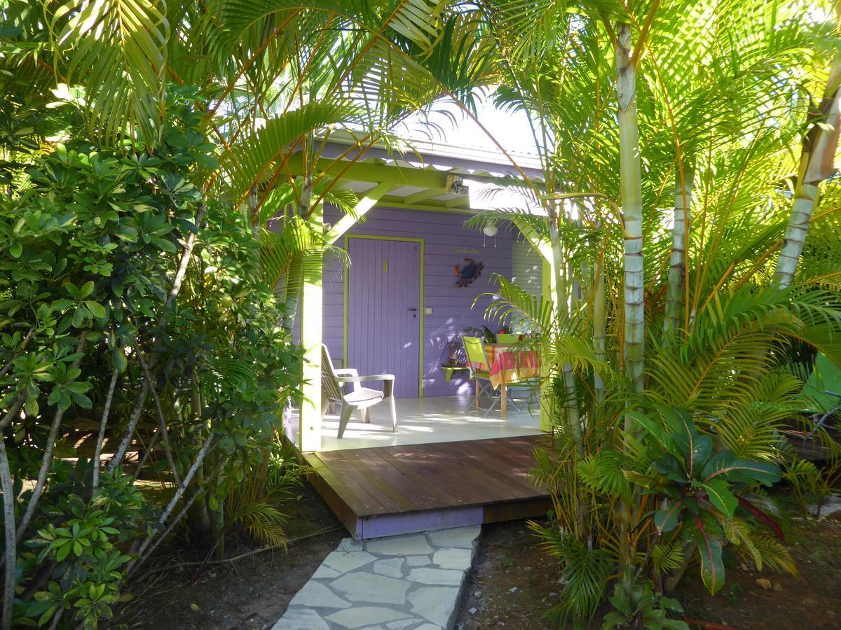 Coco Bungalows Sainte-Rose Exterior photo